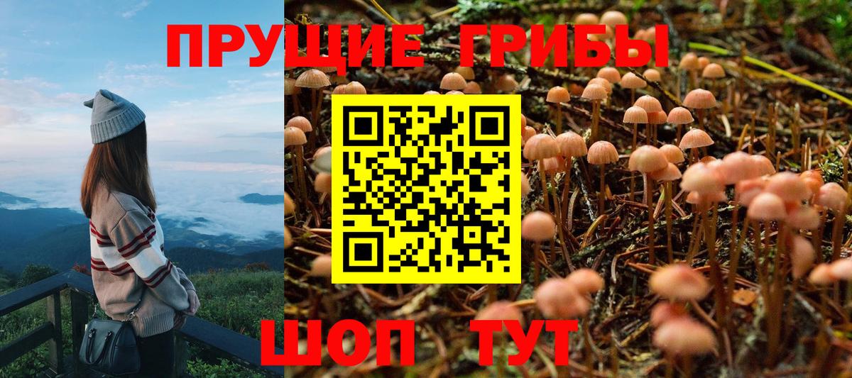 Псилоцибиновые грибы MAGIC MUSHROOMS  Вход с VPN  Дзержинск  Псилоцибиновые грибы Magic Shrooms 