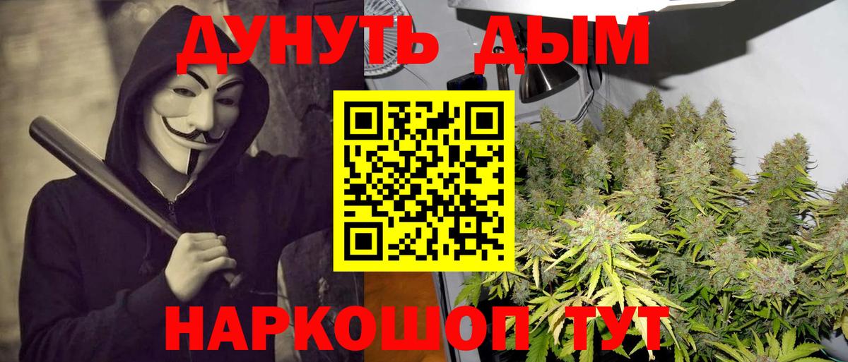 Бошки Шишки сатива  Шишки марихуана конопля  Вход с VPN  Бошки Шишки конопля  Дзержинск 